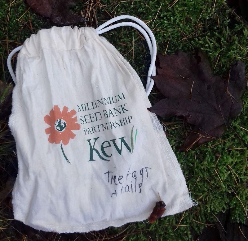 Kew's Millenium Seed Bank Partnership drawstring bag