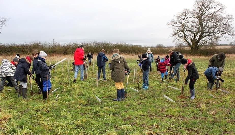 The Shipston cub group planting trees in the Forest