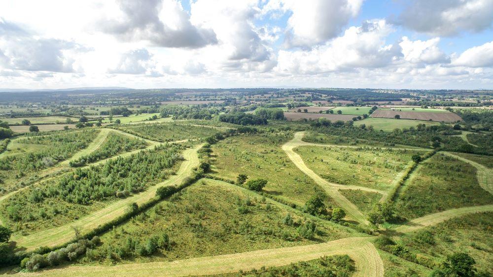 Aerial view of the growing Forest