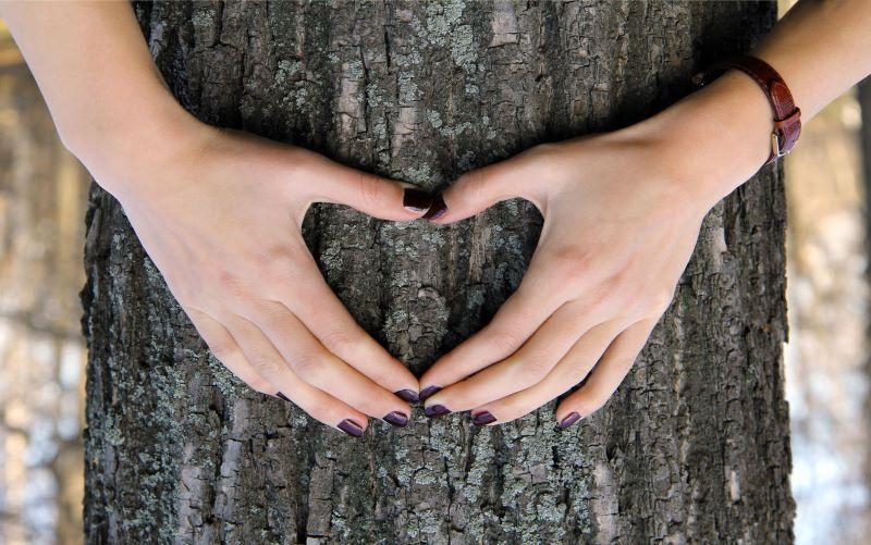 Hand making a love heart shape in front of a tree bark