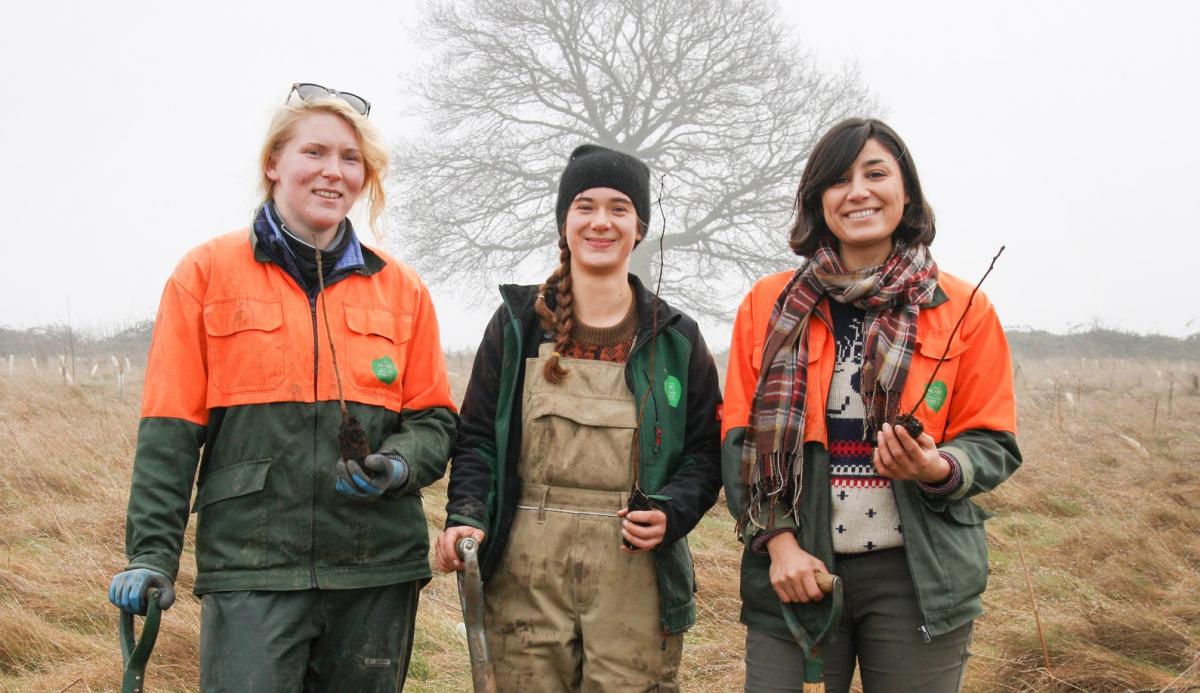 Three female members of the forestry team standing together with spades