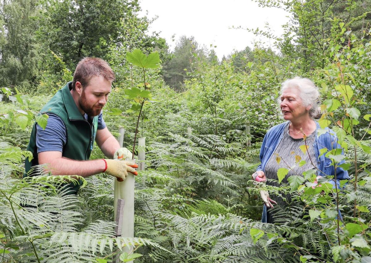 Volunteer Manager Jonathan assisting a volunteer in the Forest