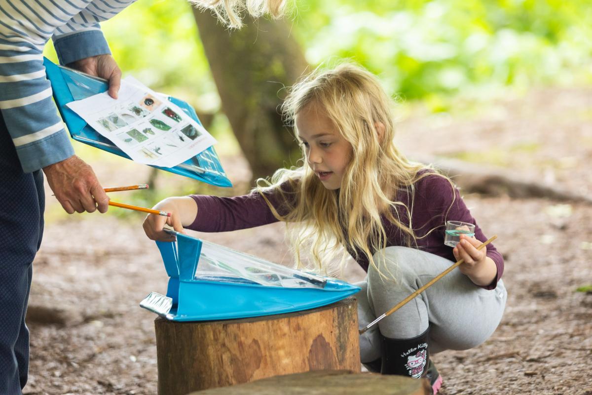 Young girl in the forest on a bug hunt