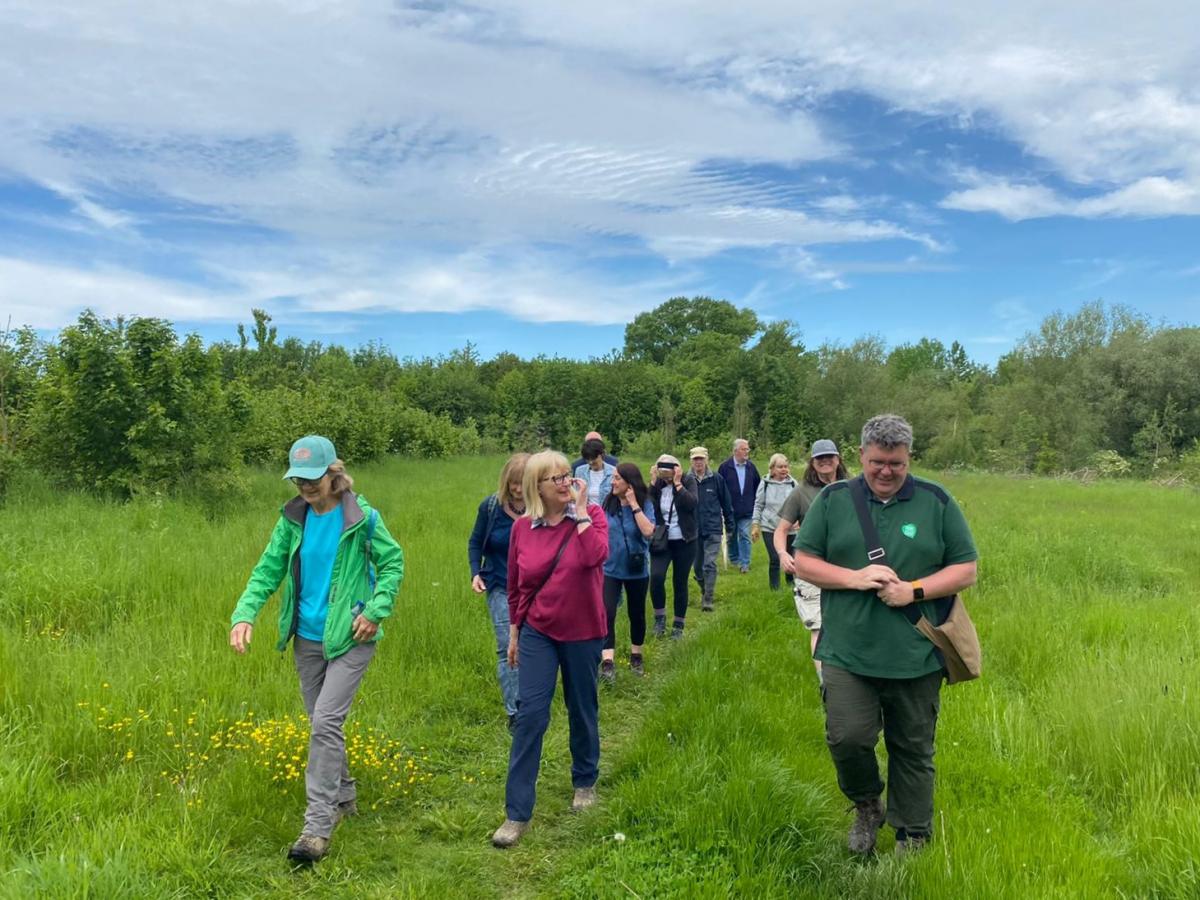 Guided walk in the Forest 