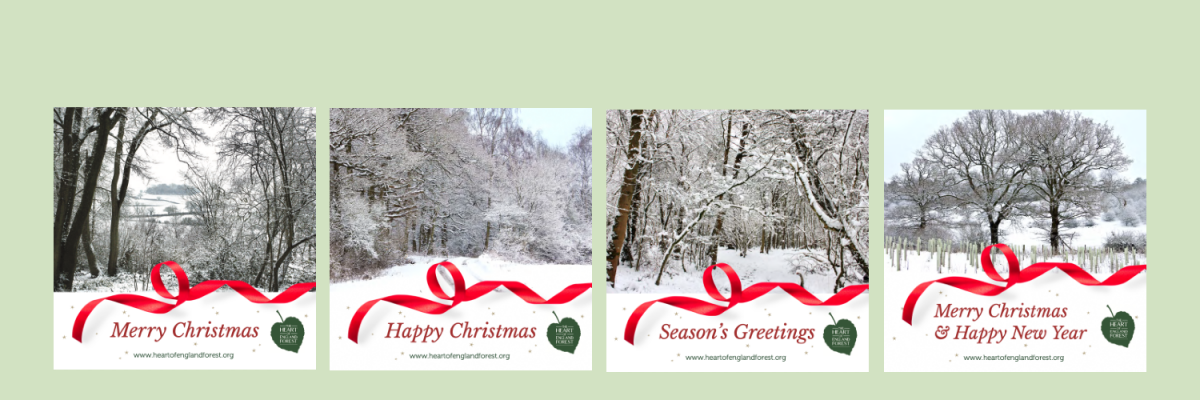 Christmas Ecard selection
