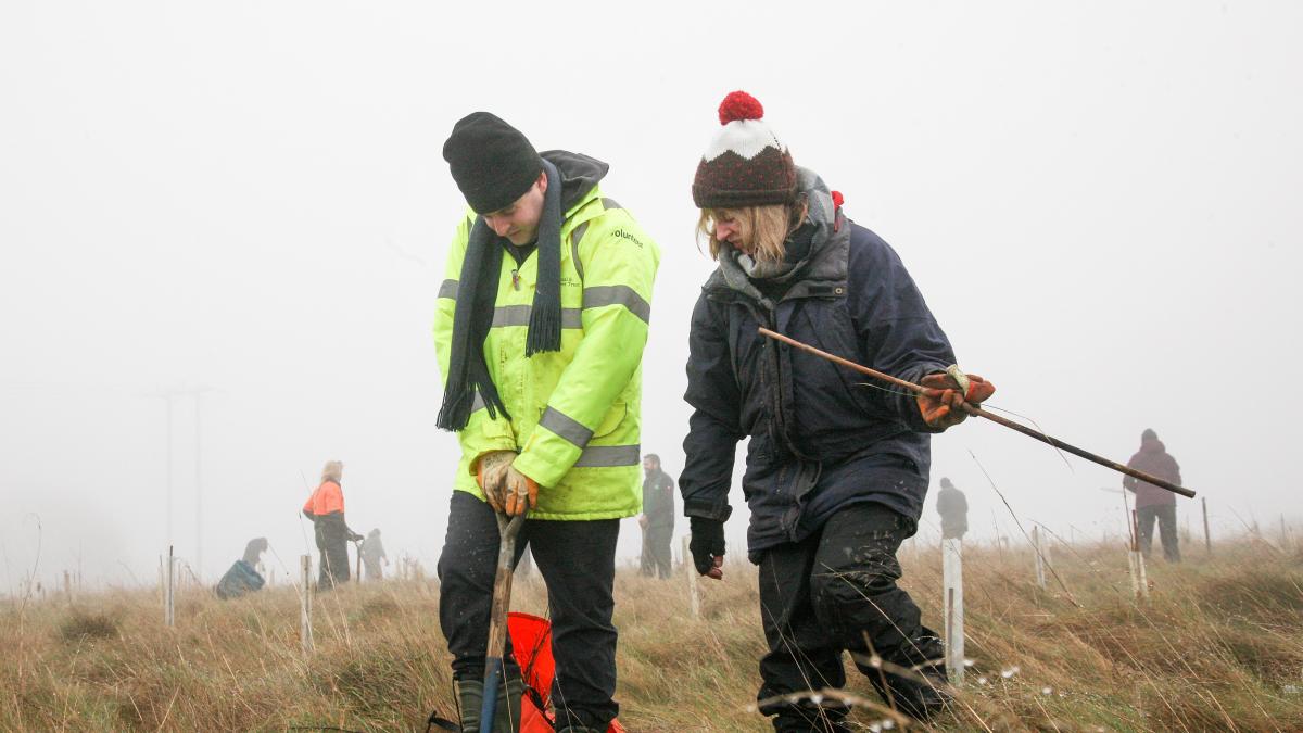 Some volunteers tree-planting on a foggy day in the Forest