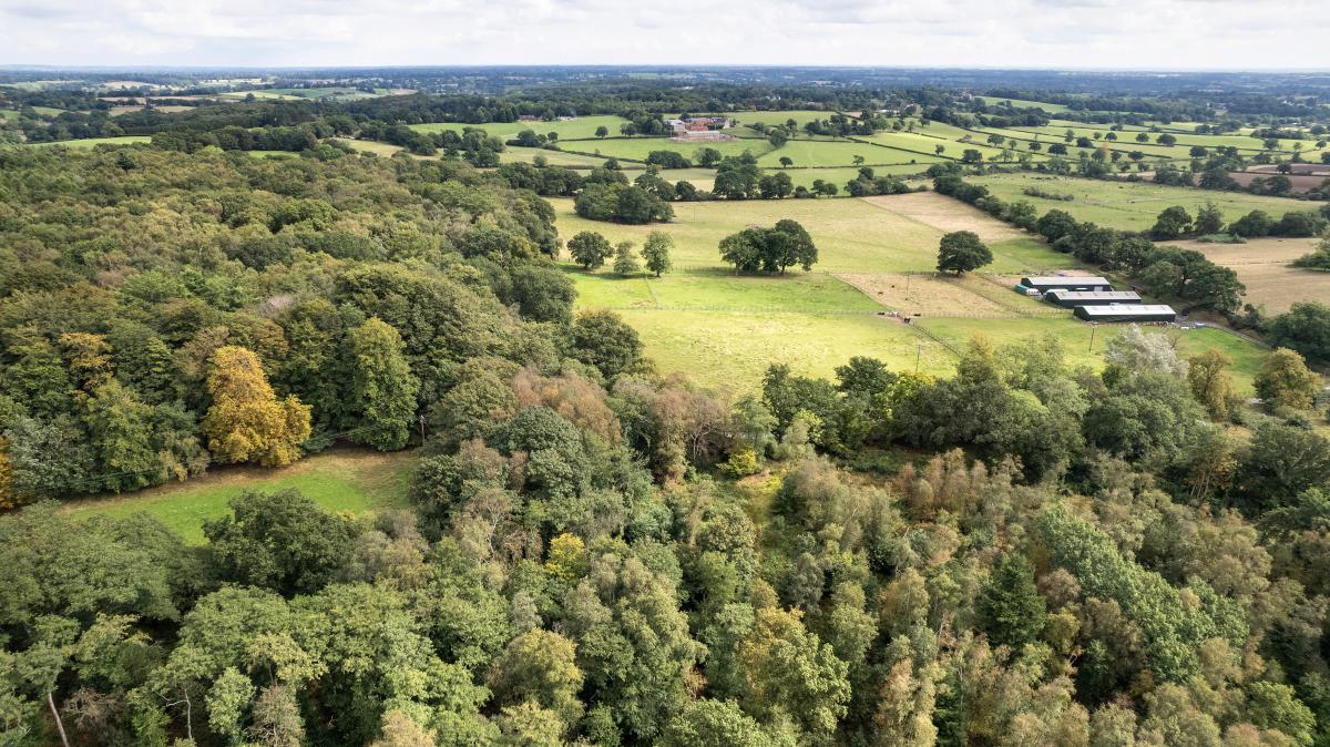 Aerial view of Gorcott hill with dense green tree cover and two open grassy fields