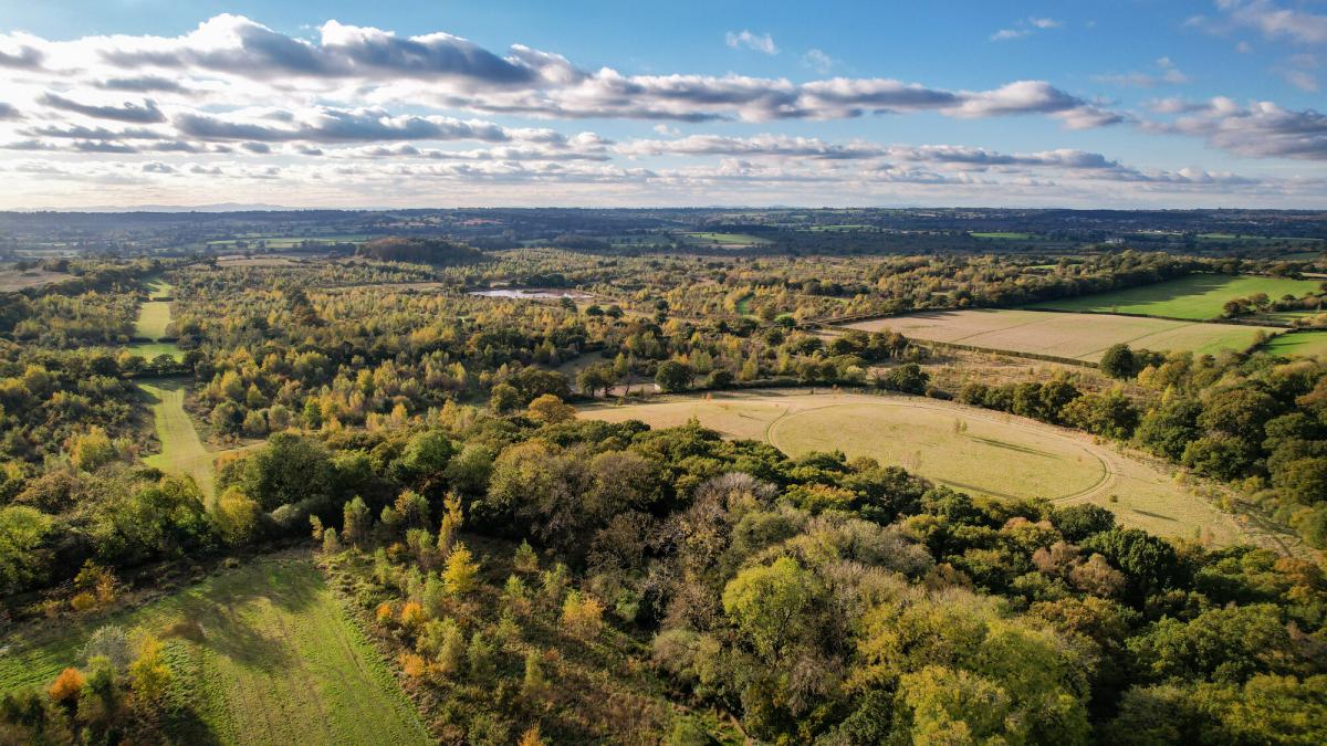 Aerial view of the Forest from above Alne Wood looking towards Middle Spernal on a sunny autumn day