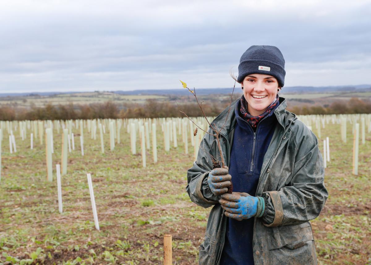 Forestry Intern Melissa standing in a field smiling holding a tree sapling with newly planted trees in tubes behind