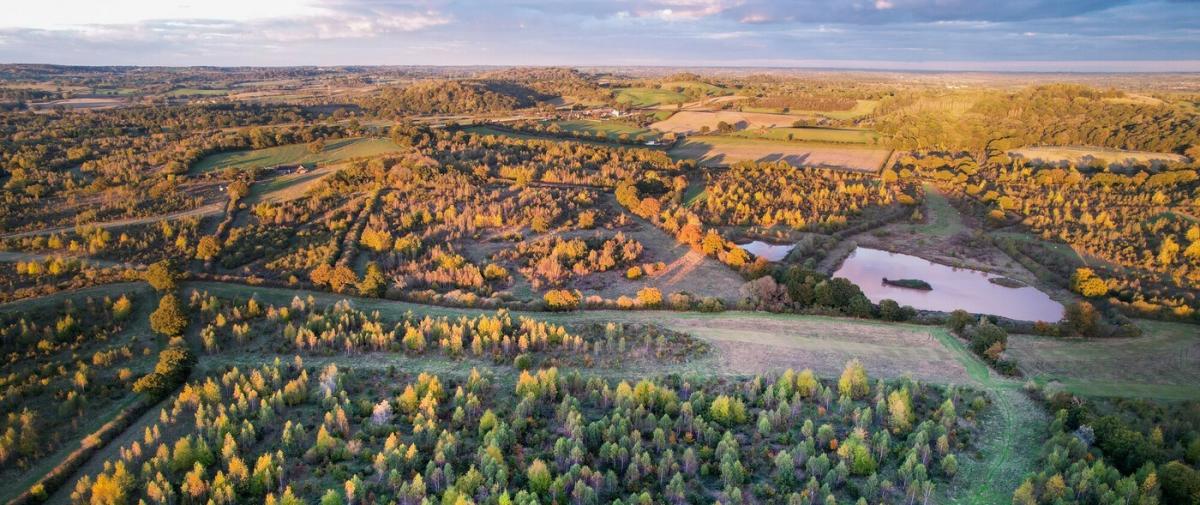 Aerial photo of trees, fields and ponds in the Middle Spernal area of the Forest in late autumn sunlight