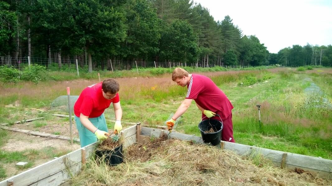 Two 6th form students with Special Educational Needs and Disabilities (SEND) working in the Forest tree nursery