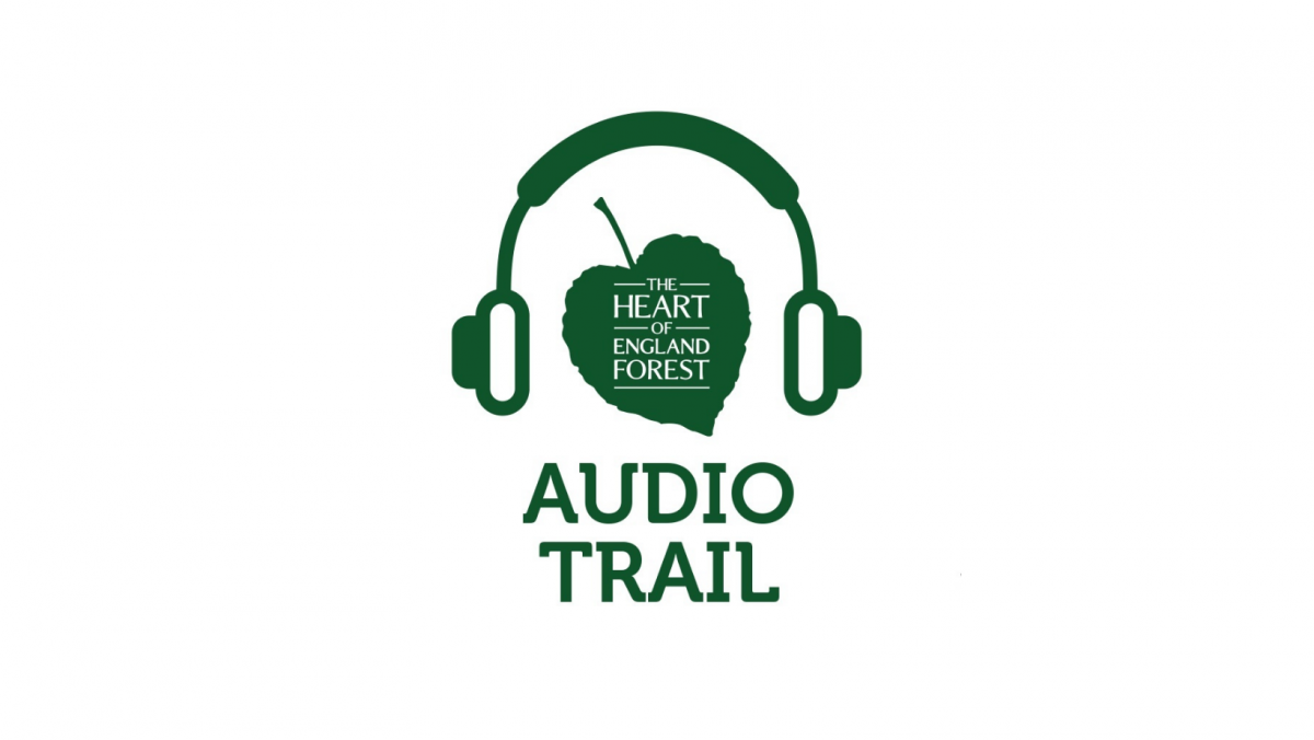 Green audio trail logo on a white background 