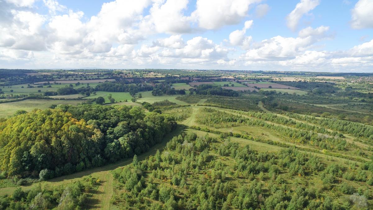 Aerial view of woodland at the Spernal site 