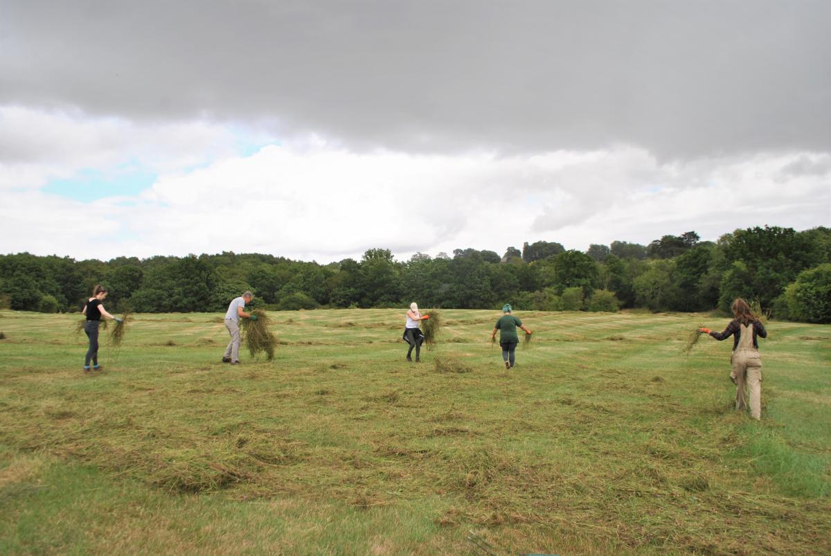 Tasha, Phoebe and volunteers spreading hay under a looming dark cloud