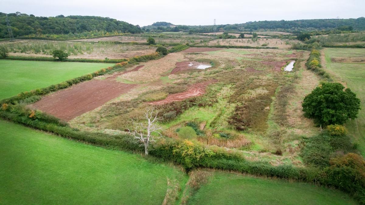 A drone shot of Netherstead's wetlands 