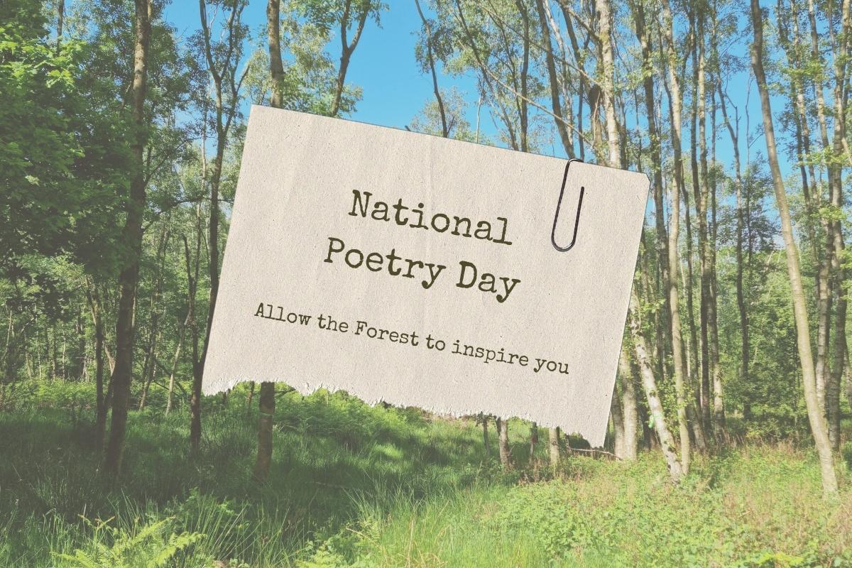 A picture of the woodland at Gorcott Hill with paper laid over the top, with writing that reads "National Poetry Day - allow the Forest to inspire you"