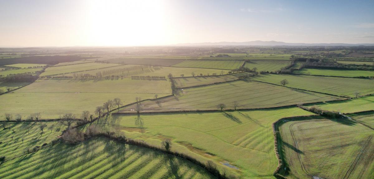 An aerial view of new land acquired in the Forest. There are several fields with hedgerows and the spring sun is shining