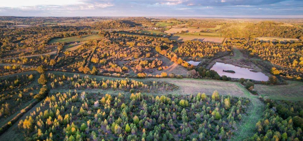 Aerial view of trees, wide rides, and ponds in the Forest on a cold autumnal day