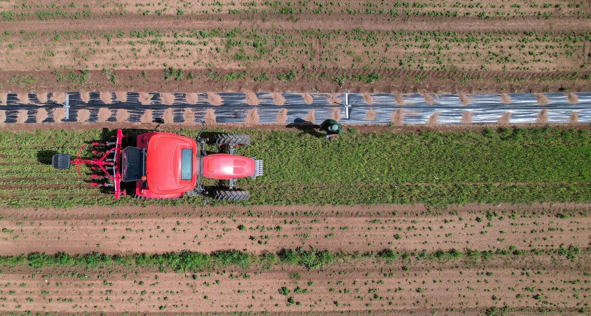 Aerial photo looking down on a red tractor and the seed beds in the tree nursery