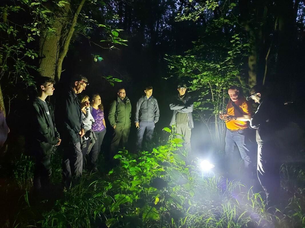 A group of people standing around a night moth trap in Collette's wood