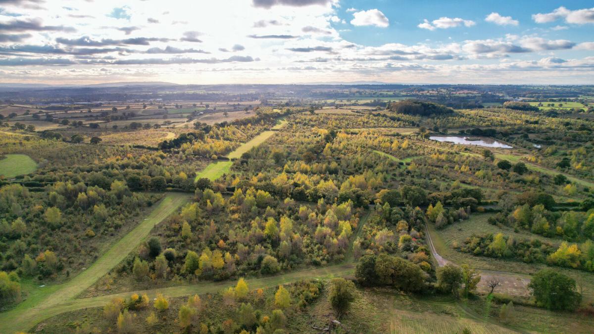 An aerial view looking south from Alne wood burial ground, over woodland and pollinator pathways