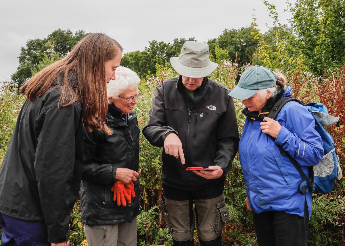 Ramsay our volunteer leader, with three other volunteers conducting a butterfly survey.