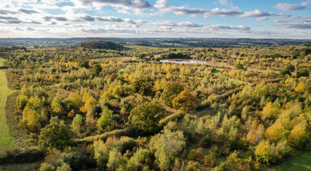 An aerial view of the woodlands at Middle Spernal