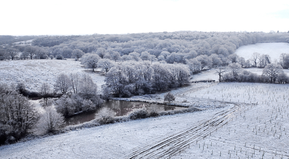 An aerial view of a snowy Oak Wood