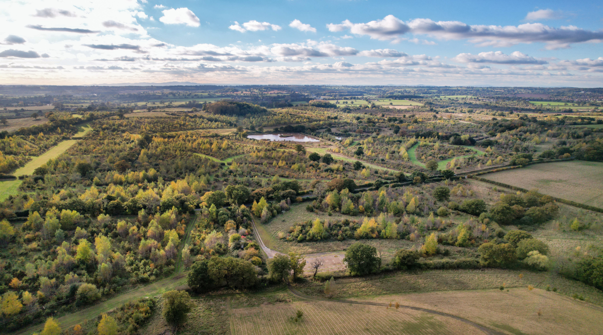 An aerial image of the Forest with a low sun