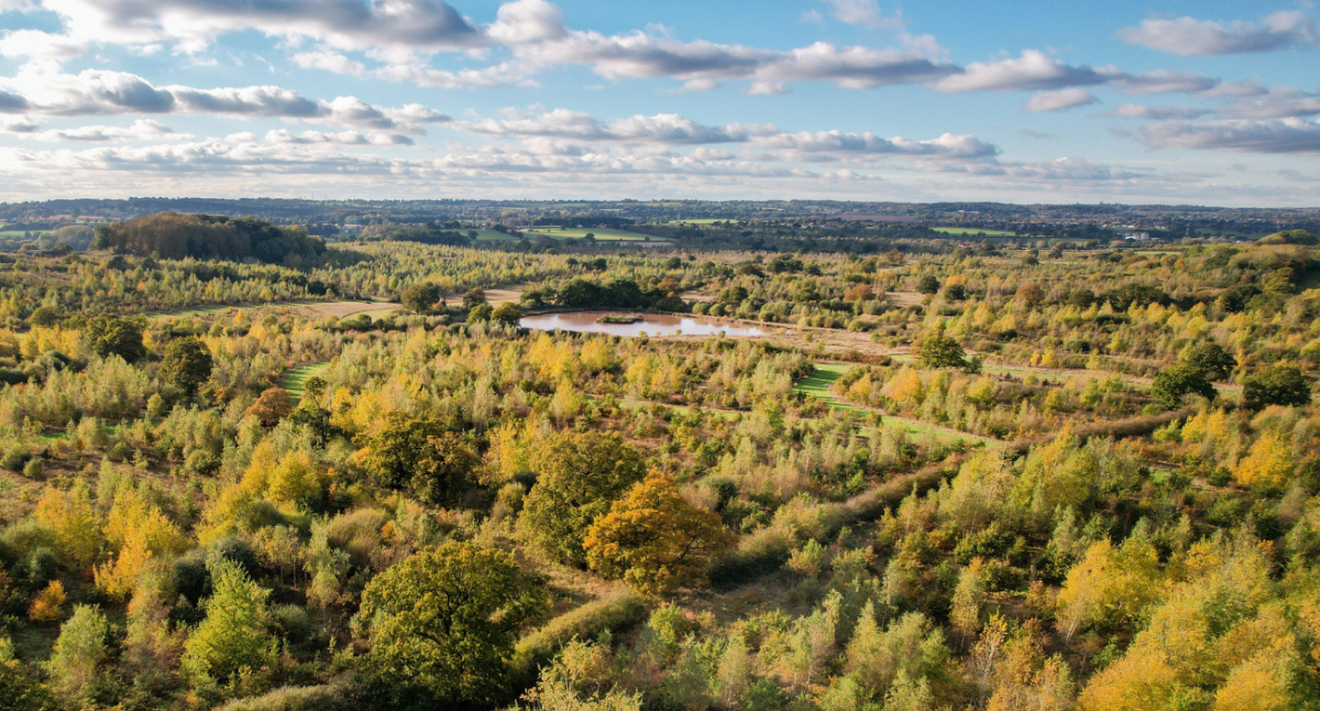 An aerial view of the Forest on an early autumn day as the sun is setting.