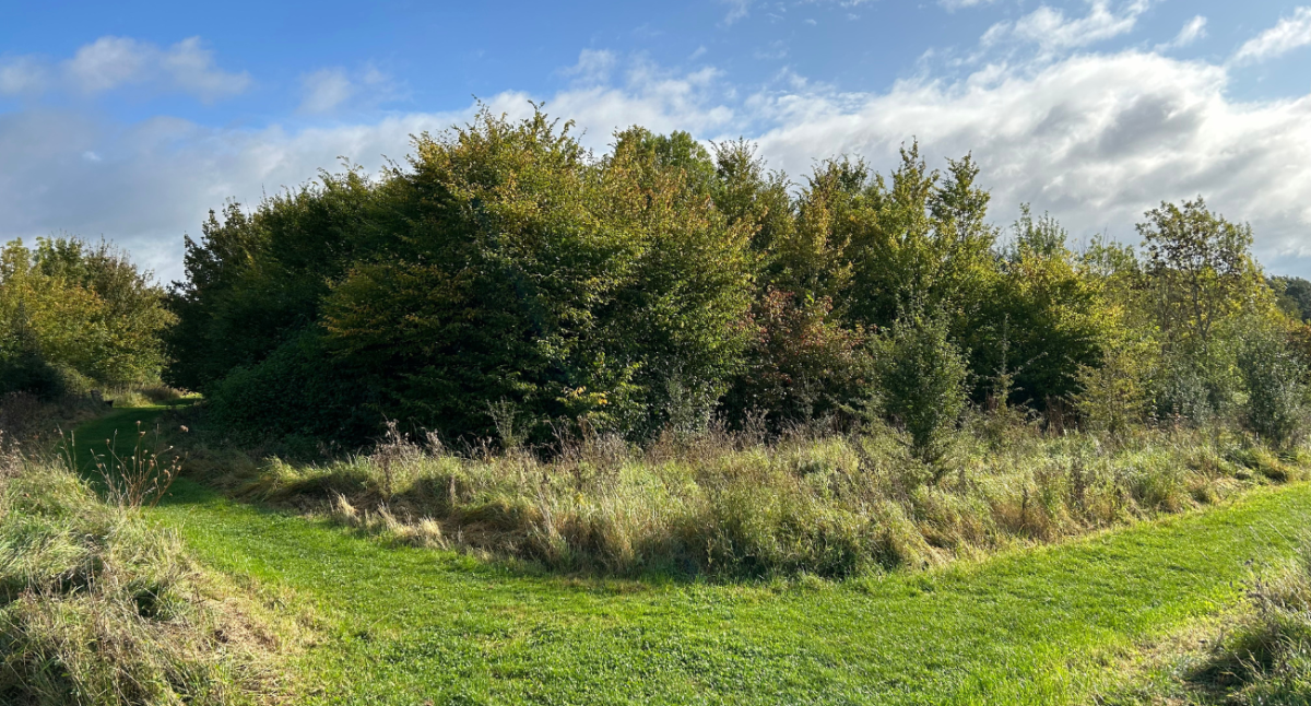 Coxmere Wood looking east from the FPP post