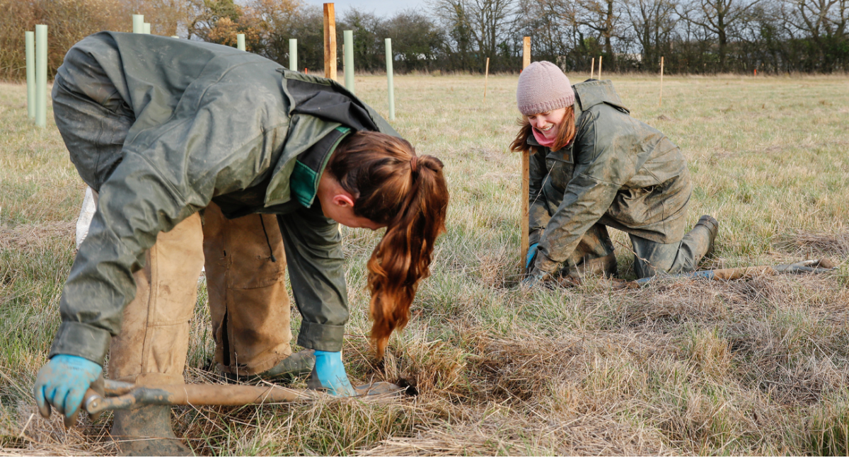 Two female members of the forestry team tree planting in the Forest.