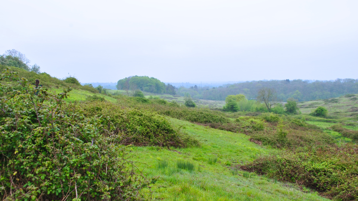 A view over the bowl at Sheriffs Lench