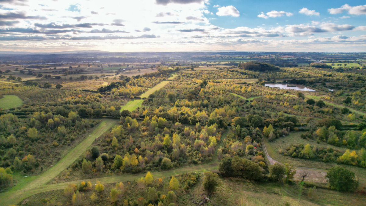 A drone shot of middle Spernal in the summer, It shows a diverse array of habitats, woodlands, pathways, ponds and grassland