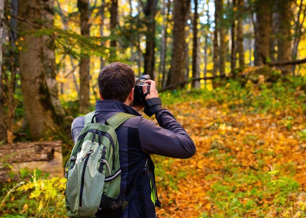 The back view of a young male in the forest taking a photo with a camera while wearing a backpack