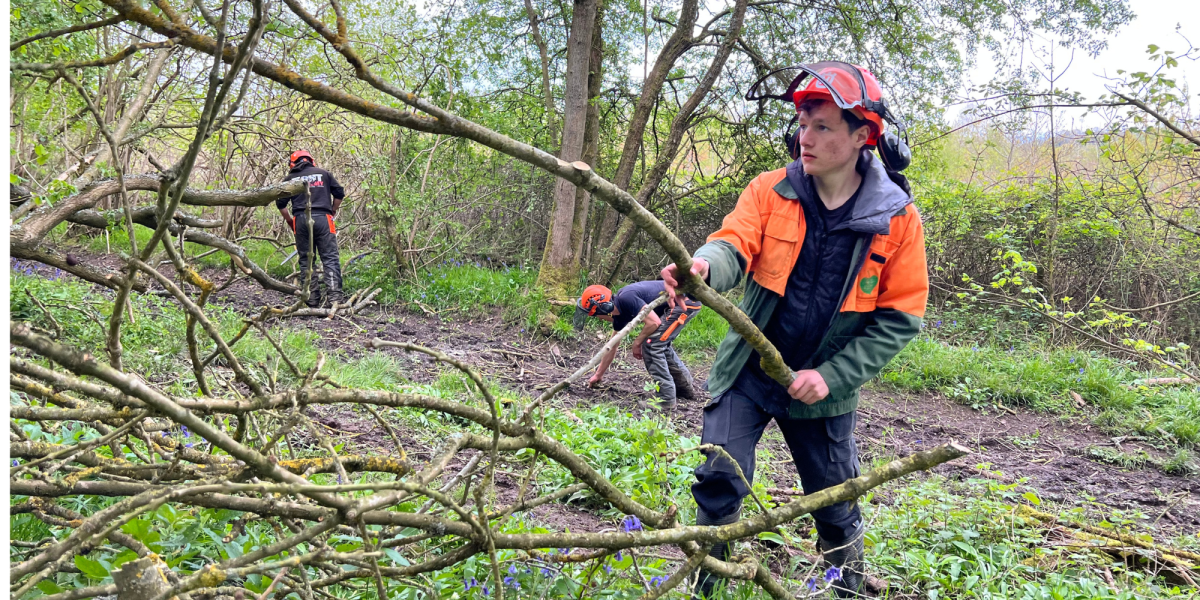 Harrison clearing offcuts of hazel after coppicing in the Forest