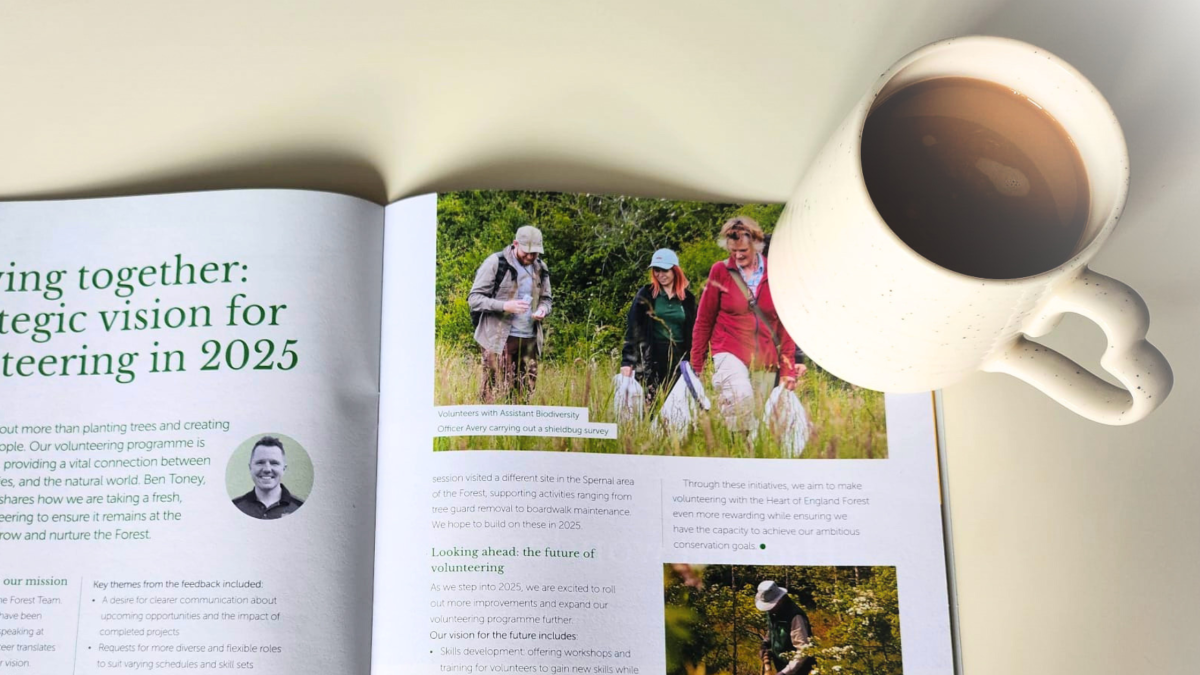 A copy of your forest magazine, open on a page about volunteering with a mug in the corner.