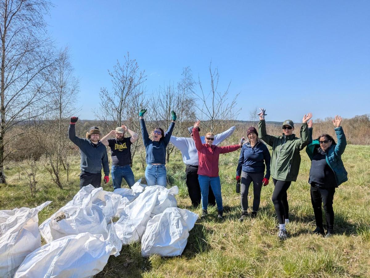 A corporate volunteering group making a difference by removing tree guards