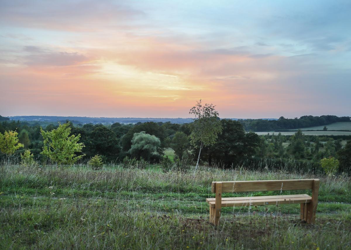 Sunset view with bench at Alne Wood Park Natural Burial Ground