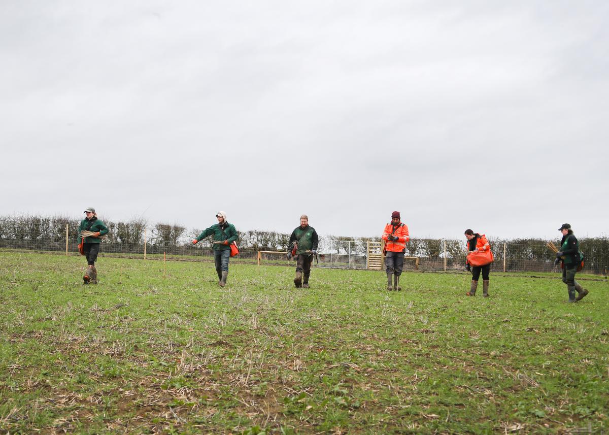 A group of the Forestry team walking on the horizon of newly acquired land