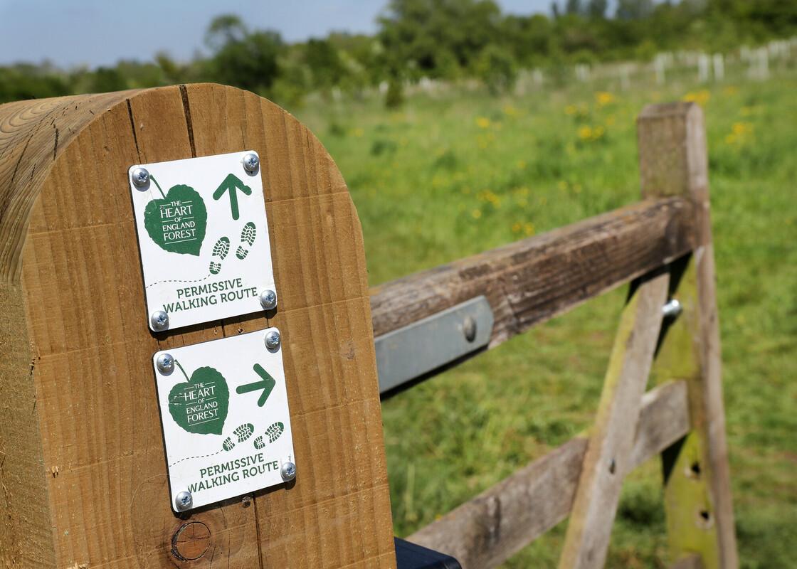 Two permissive signs and a gate leading into an open grassland within the Forest