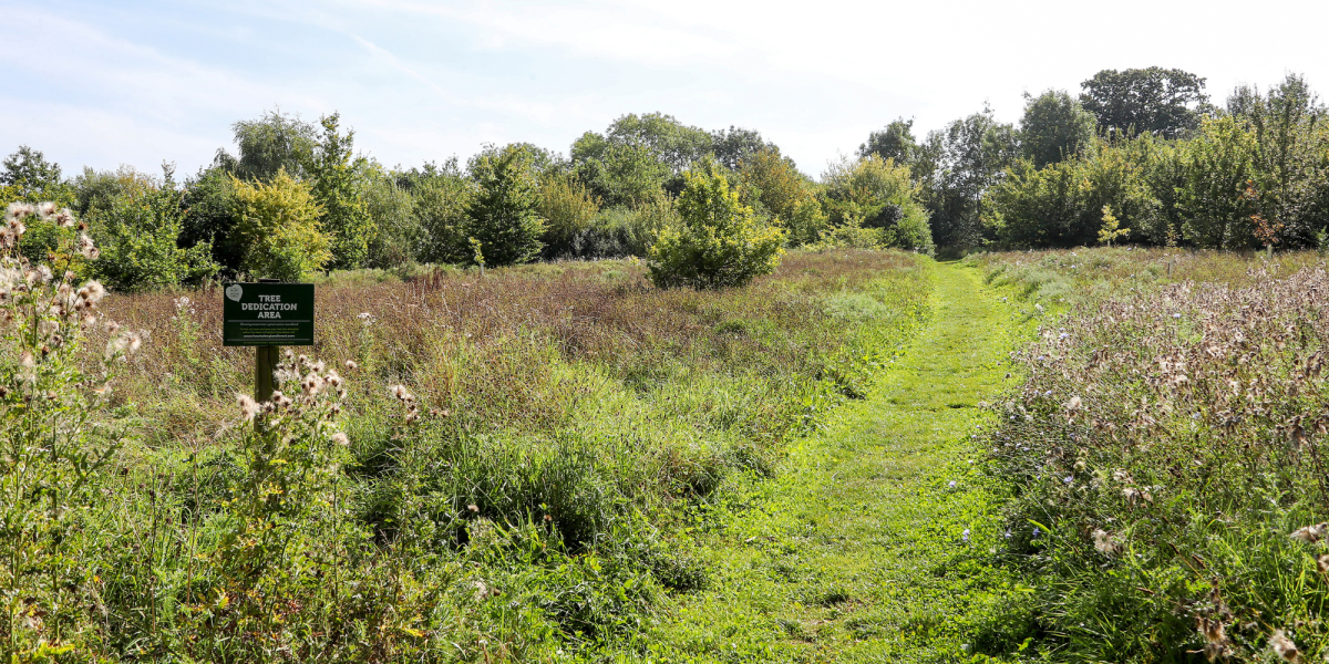 A view of the tree dedication area at Dorothy's Wood.