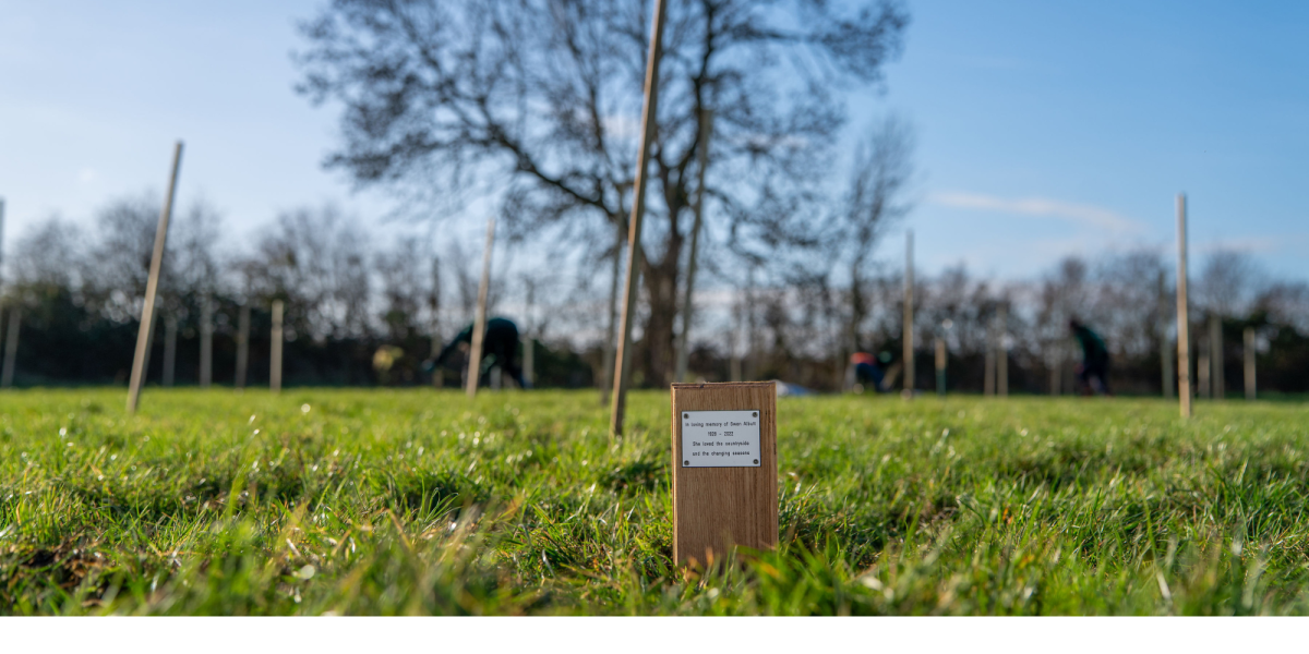 The Plant a Tree dedication area at Eddie's Wood