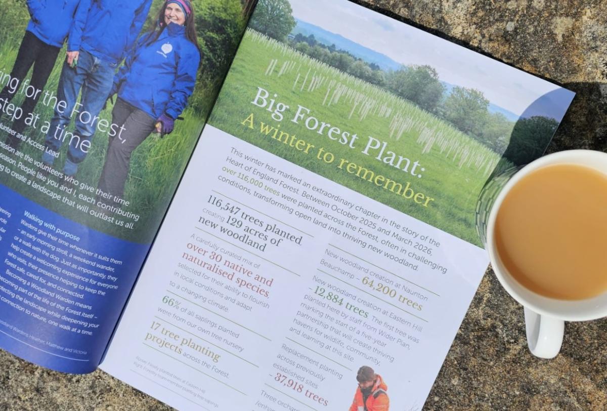 A copy of your forest magazine, open on a page about a successful winter season with a mug in the corner.