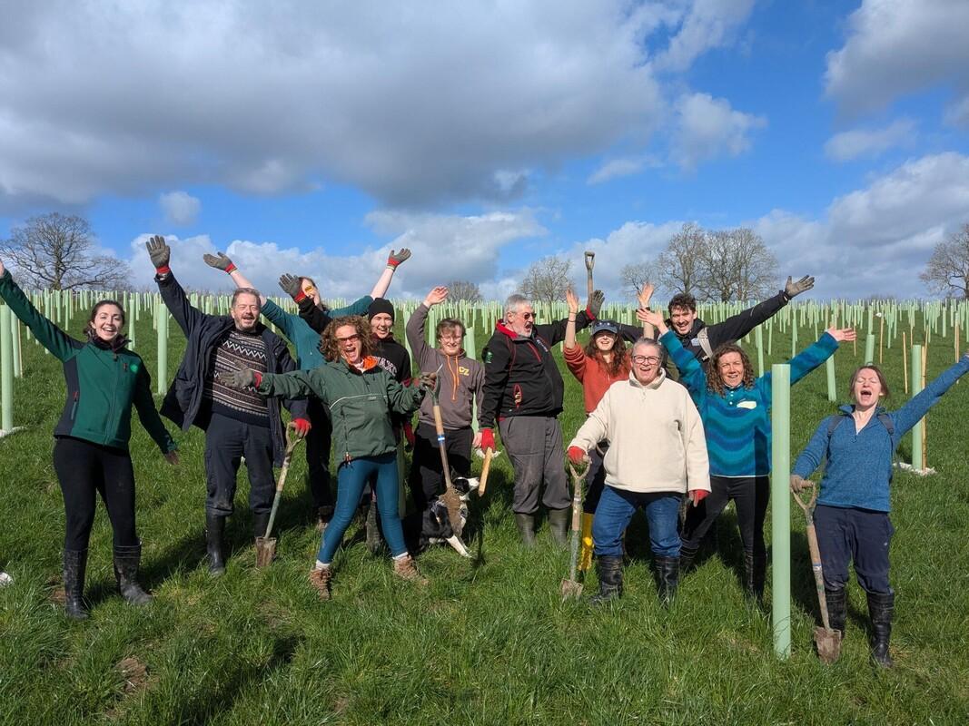 A team from Vectric Ltd on a corporate volunteering day planting trees in the Forest, they are smiling and cheering