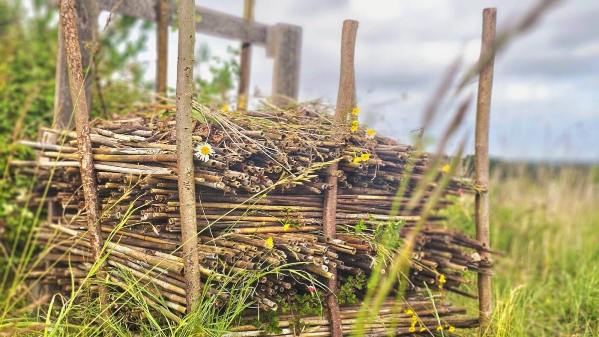 A bug hotel in the forest made of twigs, sticks, canes and grass