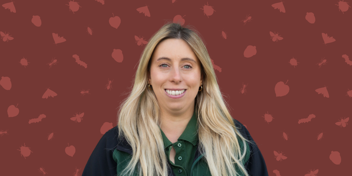 Unearthed: A forest blog with Ellie Jones featured. A background of leaves, seeds and bugs