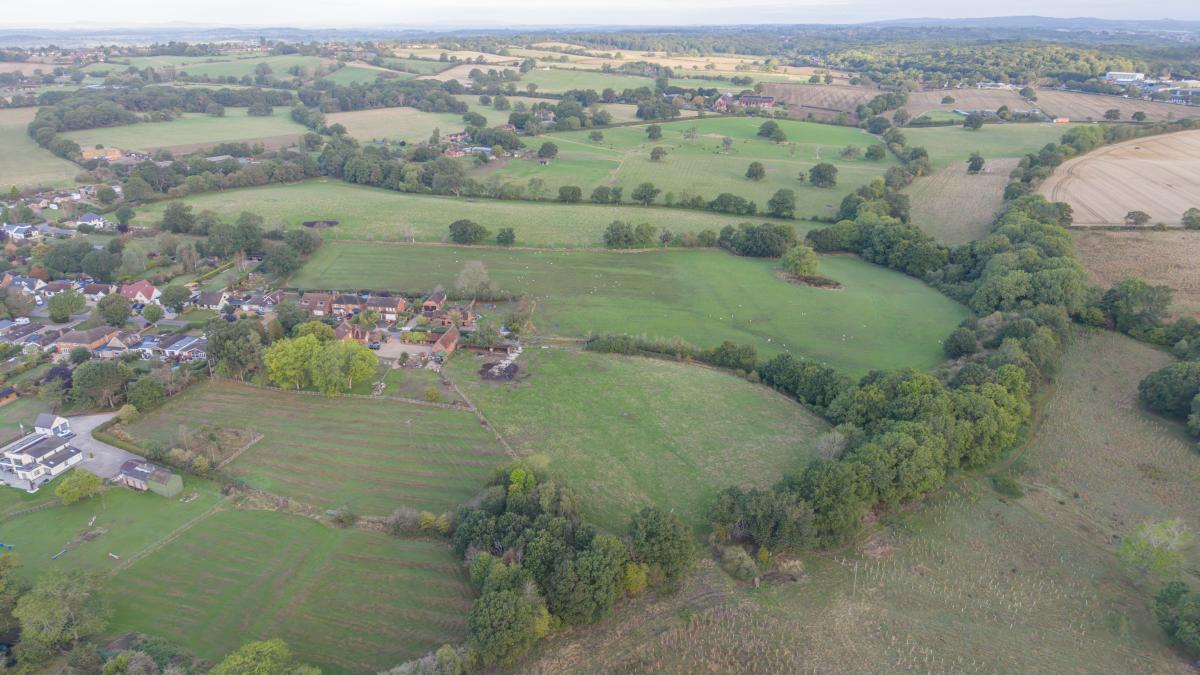 An aerial view of oak tree wood, pre planting 2026 with a mix of habitats in the summer