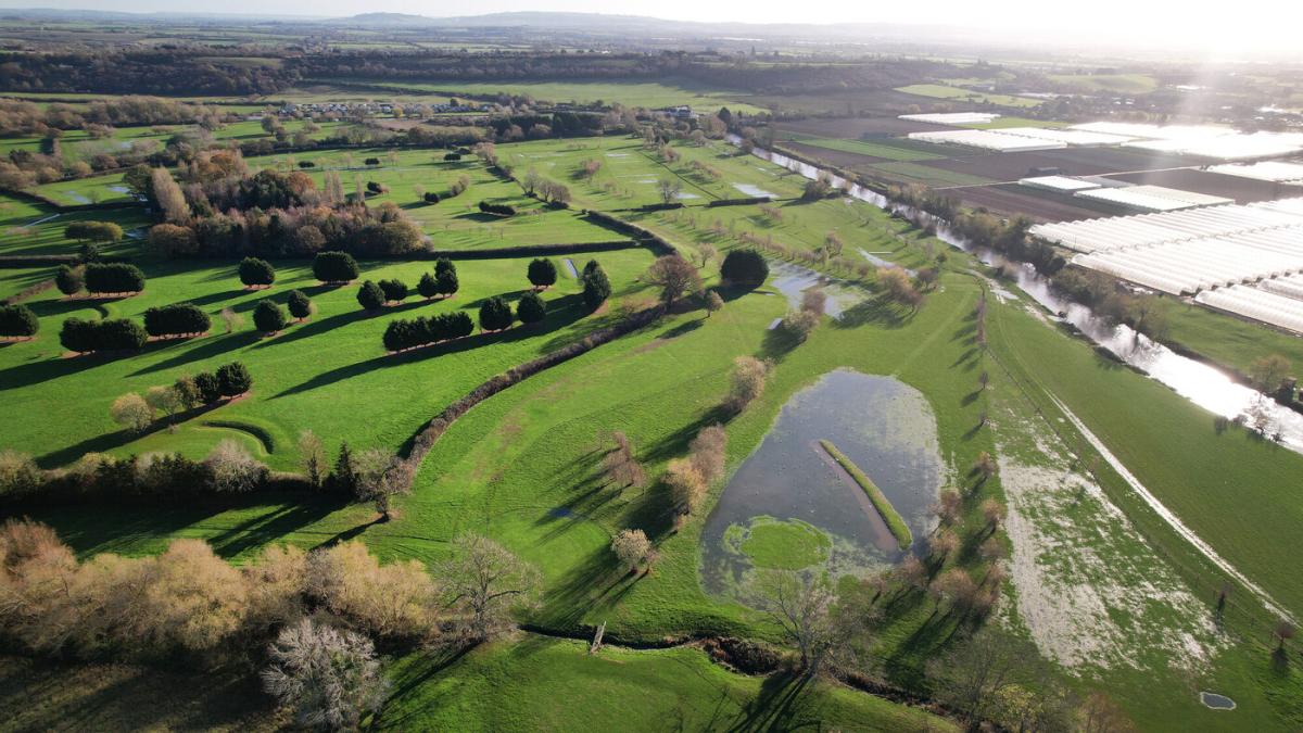 An aerial view of Harvington Golf Course, pre planting 2026 with a mix of habitats in the summer