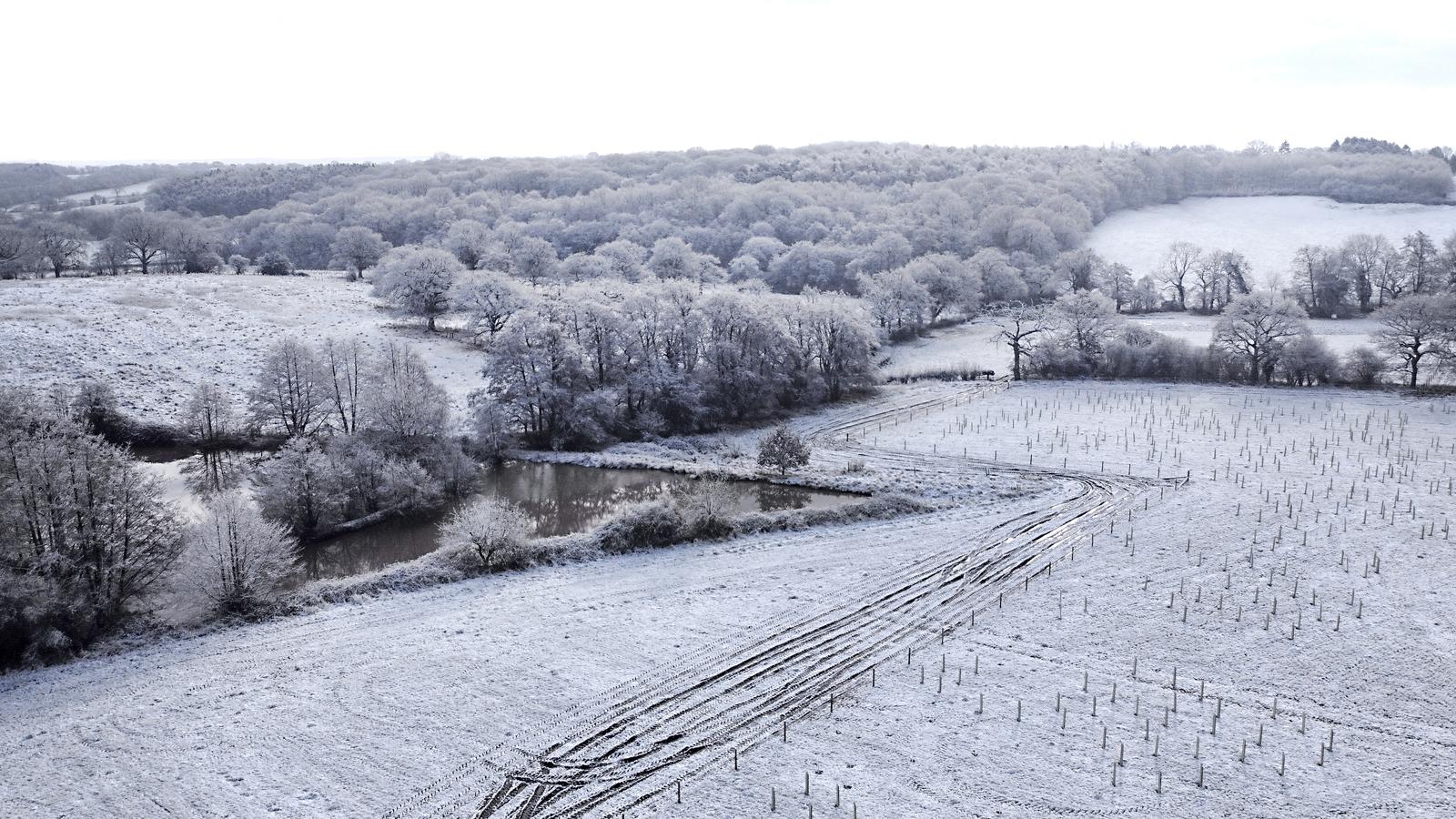 Aerial view of wetland at Oak Wood in the snow 